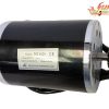 1000 watt motor
