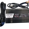 48v 3ah Charger for Green Blue 48v 20ah battery